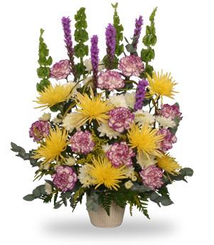 THOUGHTFUL REFLECTIONS
Funeral  Arrangement