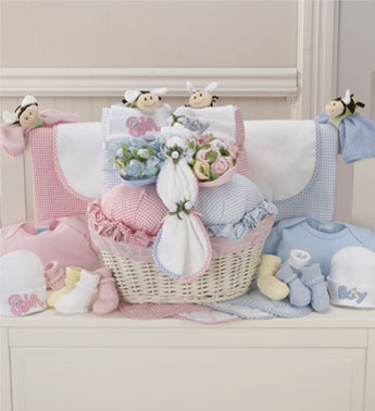 Twice The Fun Twin Newborn Gift Basket