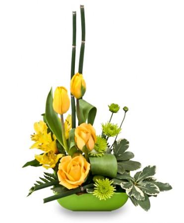 uplifting lime & sunshine  Floral Design