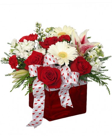 CHRISTMAS RIBBON & ROSES