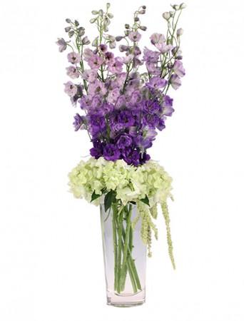 violet fields  Bouquet