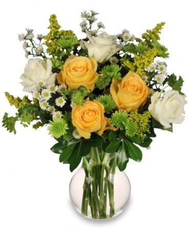 White & Yellow Roses
 Arrangement