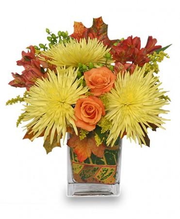 Windy Autumn Day
 Bouquet